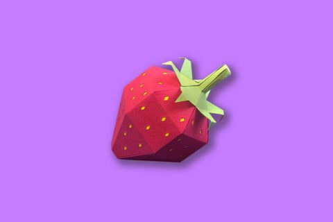branding agence rubix